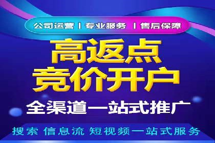 百度竞价广告案例分析：成功之道揭秘